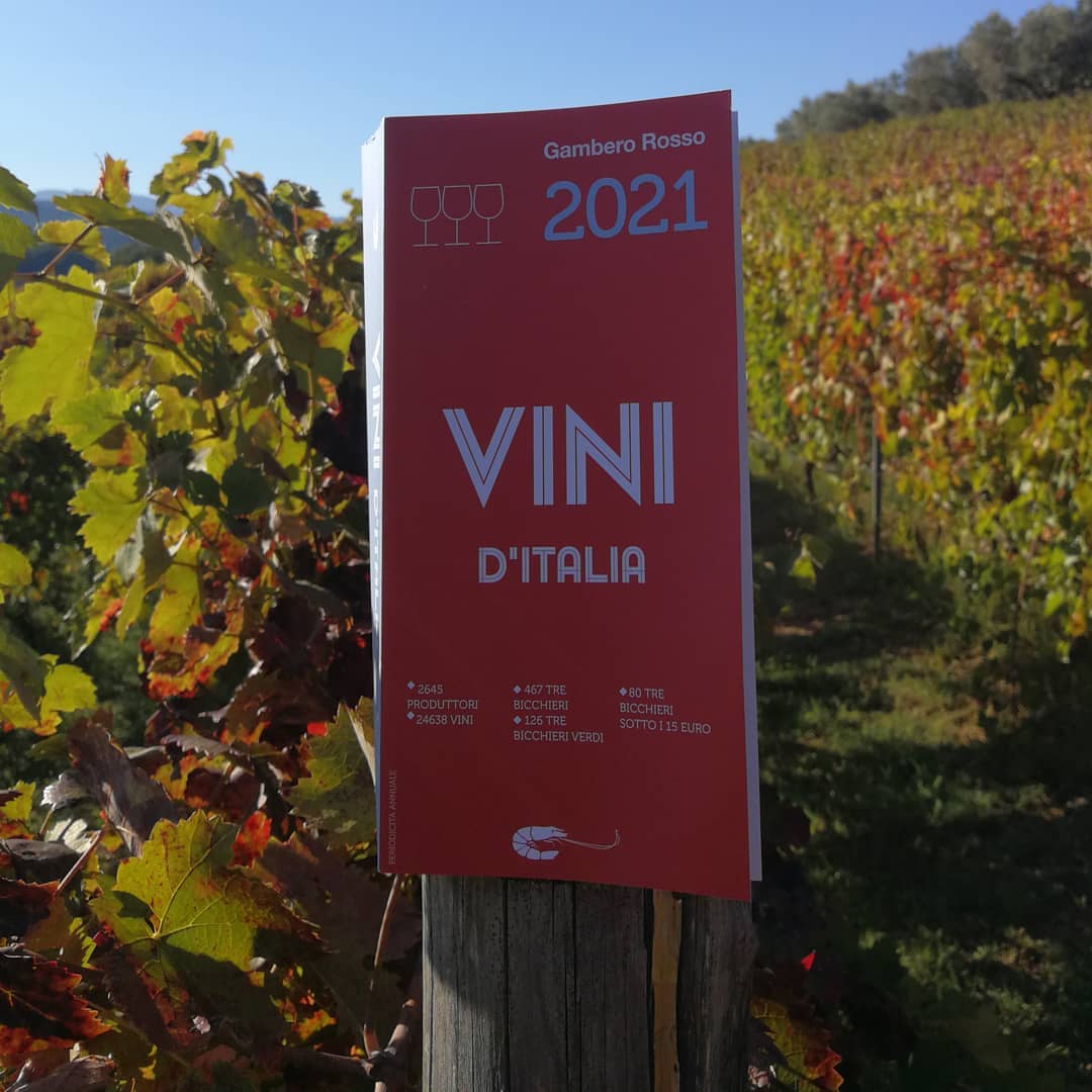 Siamo nella guida Vini d’Italia 2021 del gambero rosso